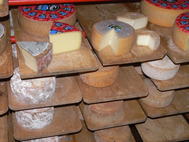 Sennerei Sufers: Crestawald Felsenkäse, Bergkäse, Geisskäse, Schafkäse (hinten), Mascarplin (gereifter Geissziger)